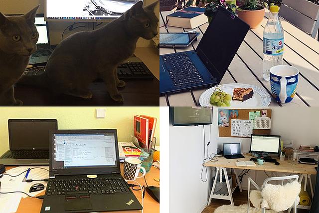 Collage: Katzen, Laptop auf Balkontisch, Schreibtisch